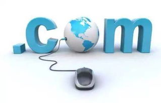 浙江互聯網信息服務 以數字化改革深化政務服務，精準利企便民